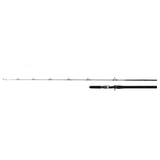 Shimano Rod Speedmaster R Jigging Cast1,83M 6'0 OLTA KAMIŞLARI