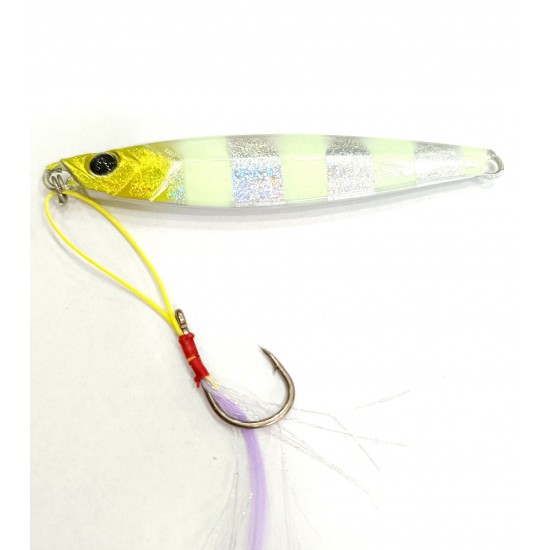 Aqua Salty Multi Jig 45 Gr -Gümüs Glow