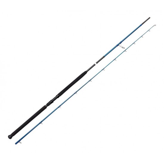 BAUER PIA 2,90MT 30-70 GR SHORE JIGGING OLTA KAMISI OLTA KAMIŞLARI