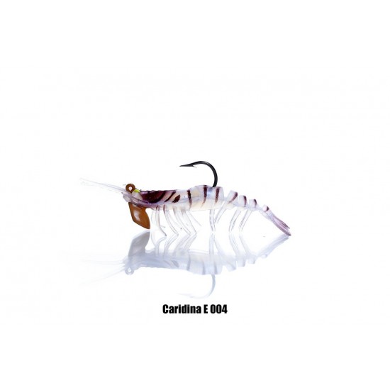 CARIDINA 004