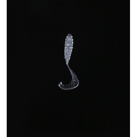 SPIINX CRAZY TAIL KUYRUK 7.5CM 10P CLEAR SILVER SUNİ BALIK YEMLERİ SPIINX CRAZY TAIL KUYRUK 7.5CM 10P CLEAR SILVER SUNİ BALIK YEMLERİ