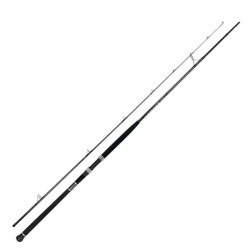Sea Horse Big Meg 3,05M 30-100Gr Shore Jigging