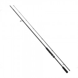 Shimano Kamis Stradic Spinning FAST 2,69M 21-56G 2Pc