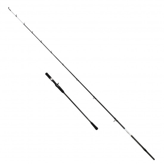 1408 CAPTAIN VIOLETTE POWER SLOWJIG 192CM 100-350G OLTA KAMIŞLARI