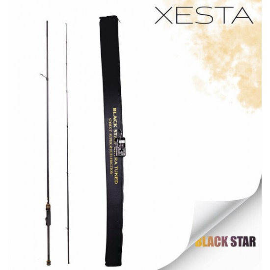 BLACK STAR EXTRA TUNED S82MHX-S KAMIS 2.50M 1-28G 2P