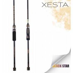 XESTA BLACK STAR EXTRA TUNED S74MX-T KAMIS 2.24M 1-20G 2P