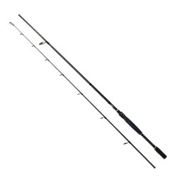 RANGER SPINNING ROD 270 CM 25-70 GR